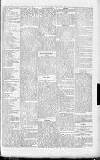 Wells Journal Thursday 24 January 1884 Page 5