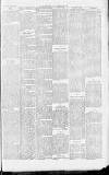Wells Journal Thursday 24 January 1889 Page 3