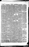 Wells Journal Thursday 16 November 1893 Page 5