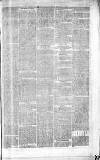 Rochdale Observer Saturday 04 April 1868 Page 7