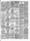 Rochdale Observer Saturday 13 April 1878 Page 3