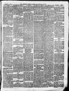 Somerset County Gazette Saturday 03 March 1877 Page 3