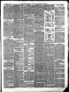 Somerset County Gazette Saturday 17 March 1877 Page 3