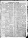 Somerset County Gazette Saturday 30 June 1877 Page 7