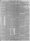Leamington Spa Courier Saturday 25 April 1885 Page 3