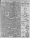 Leamington Spa Courier Friday 15 November 1901 Page 7