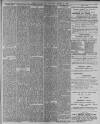 Leamington Spa Courier Friday 03 March 1905 Page 7