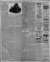 Leamington Spa Courier Friday 03 February 1911 Page 7