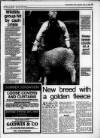 Gloucestershire Echo Saturday 15 July 1989 Page 13
