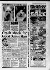 Gloucestershire Echo Friday 28 February 1992 Page 15