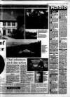 Gloucestershire Echo Thursday 12 January 1995 Page 17