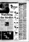 Gloucestershire Echo Wednesday 01 February 1995 Page 17