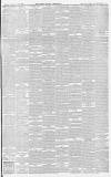 Chelmsford Chronicle Friday 21 February 1896 Page 7