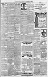 Hull Daily Mail Tuesday 10 November 1903 Page 5