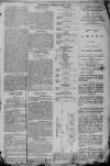 Gloucester Citizen Thursday 04 May 1876 Page 3