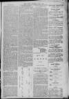 Gloucester Citizen Thursday 01 June 1876 Page 3