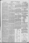 Gloucester Citizen Saturday 17 June 1876 Page 3