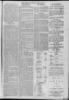 Gloucester Citizen Wednesday 21 June 1876 Page 3