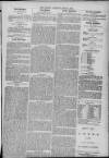 Gloucester Citizen Saturday 24 June 1876 Page 3