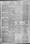Gloucester Citizen Saturday 22 July 1876 Page 3