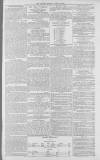 Gloucester Citizen Monday 16 April 1877 Page 3