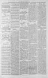 Gloucester Citizen Friday 03 August 1877 Page 2