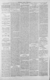 Gloucester Citizen Tuesday 07 August 1877 Page 2