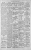 Gloucester Citizen Monday 13 August 1877 Page 3