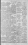 Gloucester Citizen Friday 17 August 1877 Page 3