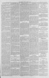 Gloucester Citizen Friday 07 March 1879 Page 3