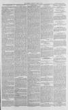 Gloucester Citizen Saturday 08 March 1879 Page 3