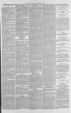 Gloucester Citizen Wednesday 12 March 1879 Page 3