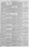 Gloucester Citizen Thursday 01 May 1879 Page 3