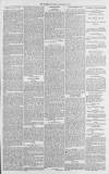 Gloucester Citizen Thursday 02 October 1879 Page 3