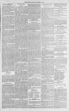 Gloucester Citizen Monday 10 November 1879 Page 3