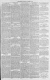 Gloucester Citizen Wednesday 12 November 1879 Page 3