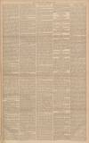 Gloucester Citizen Friday 04 February 1881 Page 3