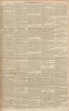 Gloucester Citizen Wednesday 18 May 1881 Page 3