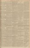 Gloucester Citizen Saturday 19 November 1881 Page 3