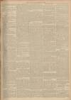 Gloucester Citizen Tuesday 28 February 1882 Page 3