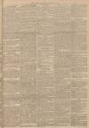 Gloucester Citizen Wednesday 29 November 1882 Page 3