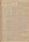 Gloucester Citizen Monday 03 March 1884 Page 3