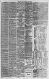 North Devon Journal Thursday 10 June 1875 Page 7