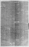 North Devon Journal Thursday 17 June 1875 Page 5