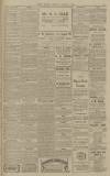 North Devon Journal Thursday 06 March 1919 Page 3