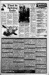 Western Morning News Friday 16 April 1982 Page 11