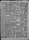 Dover Express Friday 03 August 1877 Page 3