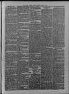 Dover Express Friday 05 April 1878 Page 3