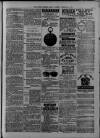 Dover Express Friday 20 December 1878 Page 7