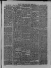 Dover Express Friday 28 March 1879 Page 3